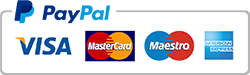 pagamenti paypal